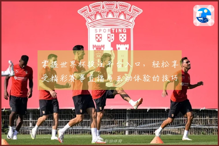 掌握世界杯投注平台入口，轻松享受精彩赛事直播与互动体验的技巧分享