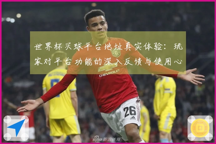 世界杯买球平台地址真实体验：玩家对平台功能的深入反馈与使用心得