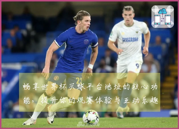 畅享世界杯买球平台地址的核心功能，提升你的观赛体验与互动乐趣