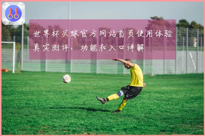 世界杯买球官方网站首页使用体验真实测评，功能和入口详解