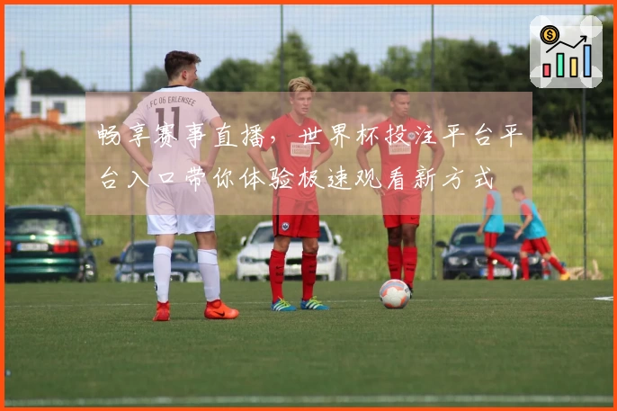 畅享赛事直播，世界杯投注平台平台入口带你体验极速观看新方式