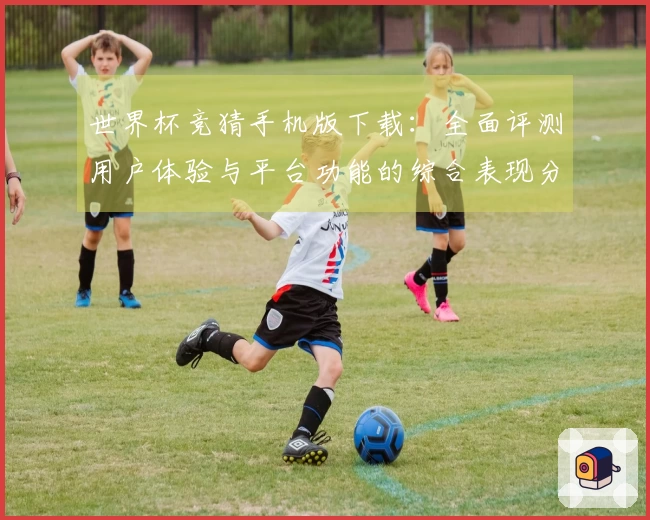 世界杯竞猜手机版下载：全面评测用户体验与平台功能的综合表现分析