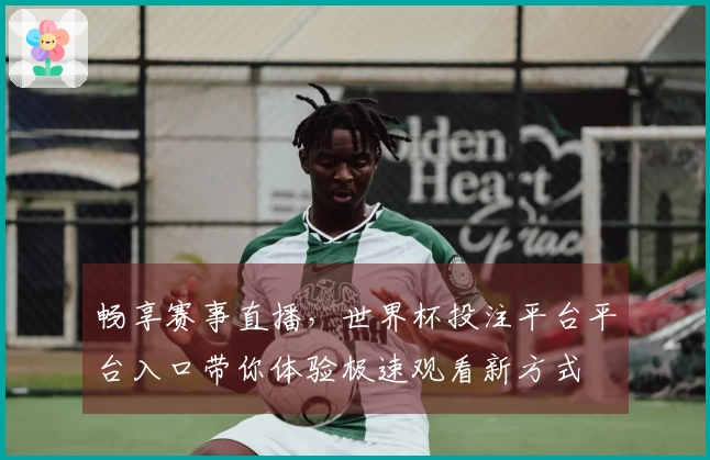 畅享赛事直播，世界杯投注平台平台入口带你体验极速观看新方式
